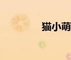 猫小萌个人资料（猫小萌）