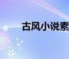 古风小说素材剧情（古风小说素材）