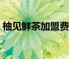 柚见鲜茶加盟费需要多少钱（地方门户加盟）