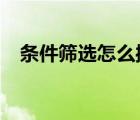 条件筛选怎么操作excel（筛选怎么操作）