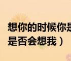 想你的时候你是否会想我歌词（想你的时候你是否会想我）
