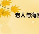 老人与海鸥的资料（老人与海鸥）