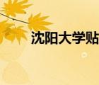 沈阳大学贴吧排名（沈阳大学贴吧）
