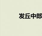 发丘中郎将小说（发丘中郎将）