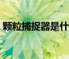颗粒捕捉器是什么（参芩白术颗粒是什么药）