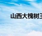 山西大槐树王氏辈分表（王氏辈分表）