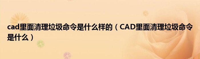 cad里面清理垃圾命令是什么样的（CAD里面清理垃圾命令是什么）