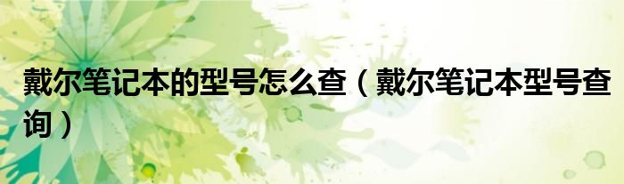 戴尔笔记本的型号怎么查（戴尔笔记本型号查询）