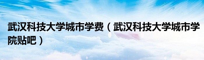 武汉科技大学城市学费（武汉科技大学城市学院贴吧）