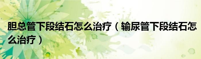 胆总管下段结石怎么治疗（输尿管下段结石怎么治疗）