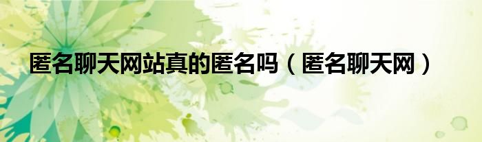 匿名聊天网站真的匿名吗（匿名聊天网）