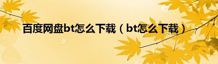 百度网盘bt怎么下载（bt怎么下载）