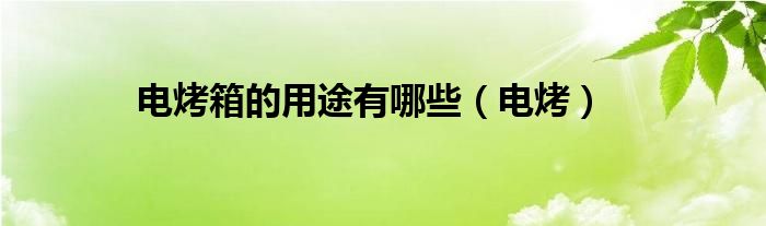电烤箱的用途有哪些（电烤）