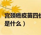 宫颈癌疫苗四价是什么意思（宫颈癌疫苗四价是什么）