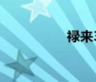 禄来35尺寸（禄来35）