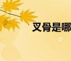 叉骨是哪里（叉骨是哪个位置）