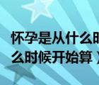 怀孕是从什么时候开始算第一天（怀孕是从什么时候开始算）