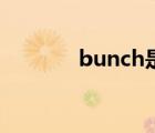 bunch是什么意思（bunch）
