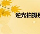 逆光拍摄是什么意思（逆光拍摄）