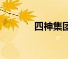 四神集团1小说（四神集团1）