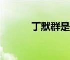 丁默群是什么人（丁默群简介）