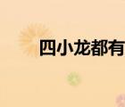 四小龙都有谁（佛山四小龙都有谁）