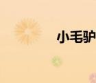 小毛驴简谱（捉泥鳅简谱）