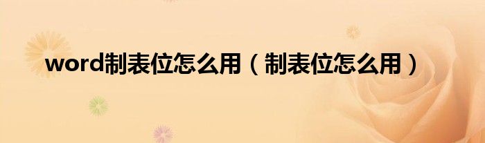 word制表位怎么用（制表位怎么用）