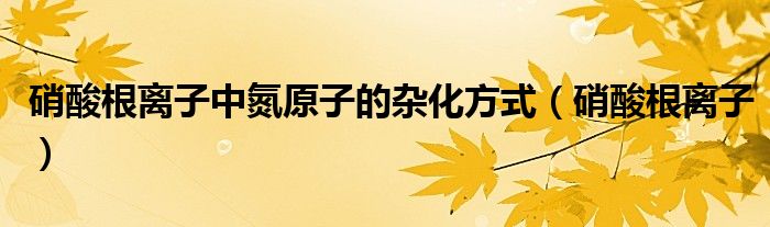 硝酸根离子中氮原子的杂化方式（硝酸根离子）