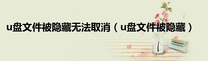 u盘文件被隐藏无法取消（u盘文件被隐藏）