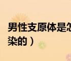男性支原体是怎么感染上的（支原体是怎么感染的）