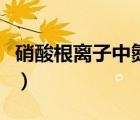 硝酸根离子中氮原子的杂化方式（硝酸根离子）