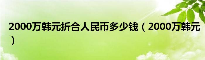 2000万韩元折合人民币多少钱（2000万韩元）