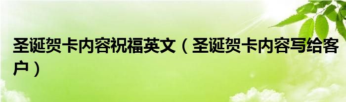圣诞贺卡内容祝福英文（圣诞贺卡内容写给客户）
