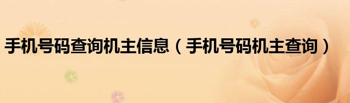 手机号码查询机主信息（手机号码机主查询）
