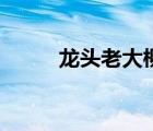 龙头老大柳残阳小说（龙头老大）