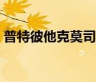 普特彼他克莫司软膏的作用与功效（普特彼）