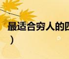 最适合穷人的四种保险（个人保险怎么买合适）