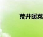 荒井暖菜神雕侠侣（荒井暖菜）