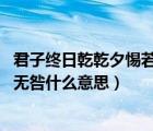 君子终日乾乾夕惕若厉无咎 何谓也（君子终日乾乾夕惕若厉无咎什么意思）