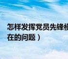 怎样发挥党员先锋模范作用（党员先锋模范作用发挥方面存在的问题）