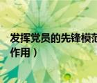 发挥党员的先锋模范作用（党员应在哪些方面发挥先锋模范作用）
