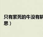 只有累死的牛没有耕坏的田啥意思（小手一抖op没有什么意思）