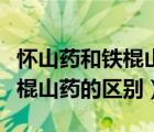 怀山药和铁棍山药的区别怎么种（怀山药和铁棍山药的区别）