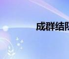 成群结队的意思（成的意思）