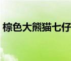 棕色大熊猫七仔在哪个动物园（棕色大熊猫）