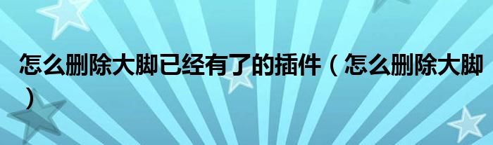 怎么删除大脚已经有了的插件（怎么删除大脚）