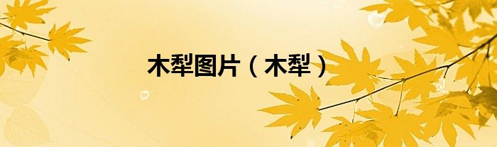 木犁图片（木犁）