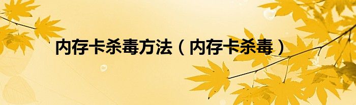 内存卡杀毒方法（内存卡杀毒）