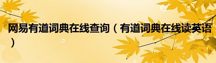网易有道词典在线查询（有道词典在线读英语）